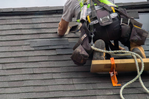 Roof Gutter Cleaning in Marion, SC